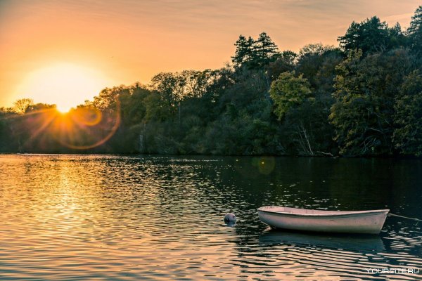 Пейзажи природы лето