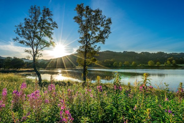 Лето речка солнце