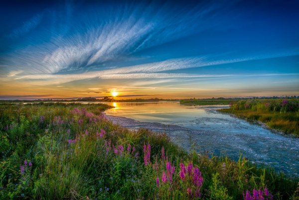 Летний пейзаж