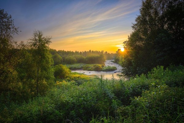Солнечная осень