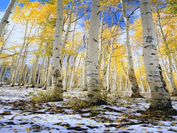 Весна в России