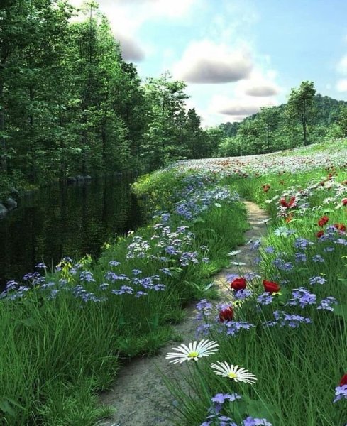 Лесная Поляна с цветами