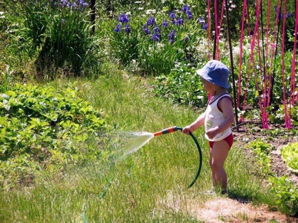 Экологическое образование дошкольников