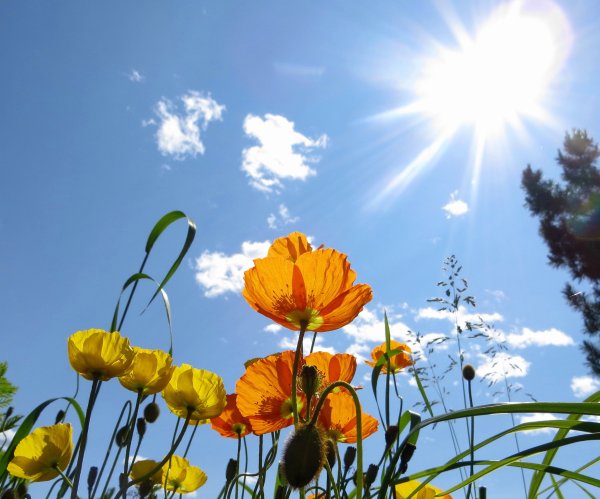 Красивый Солнечный день