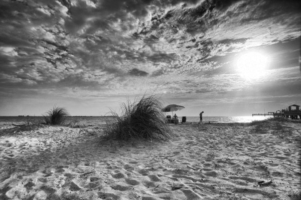 Черно белое лето