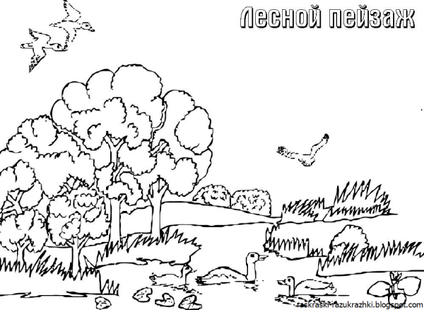 Летний пейзаж раскраска