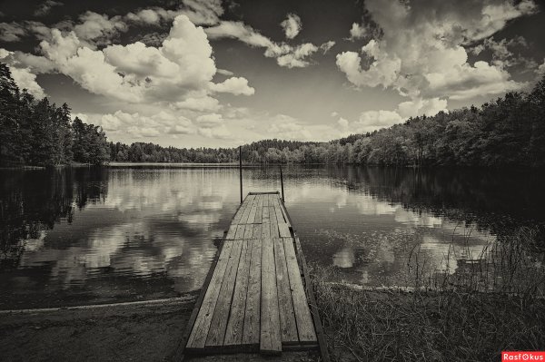 Черно белый пейзаж