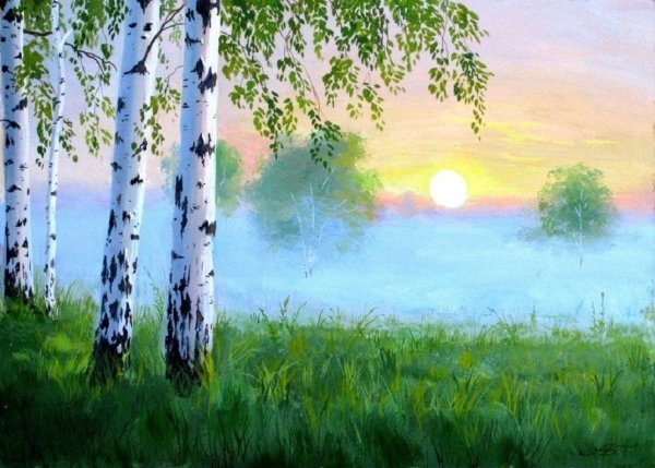 Летняя природа