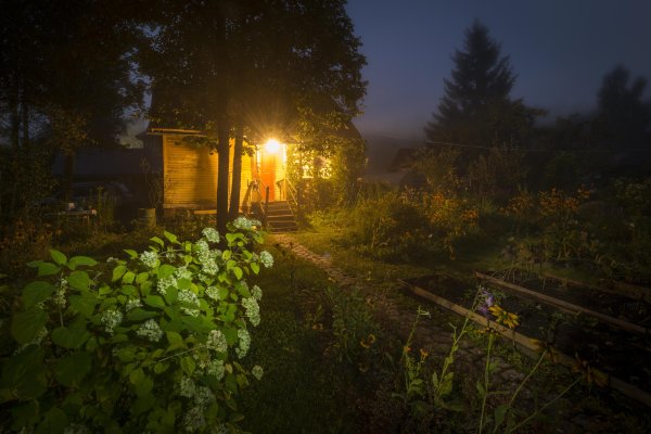 Вечер на даче