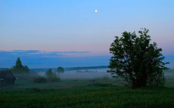 Поздний вечер в деревне