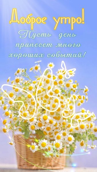 Доброе летнее утро последние дни августа