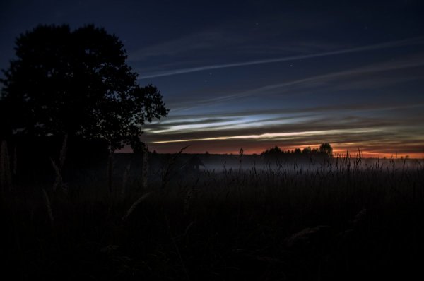 Летняя ночь в деревне