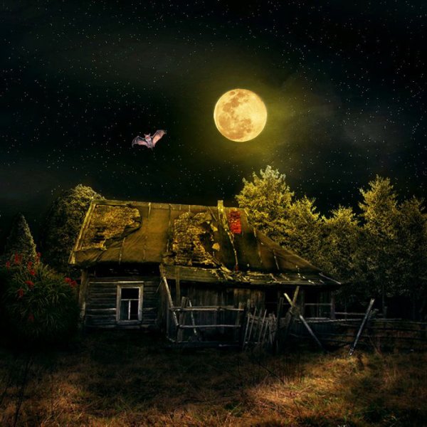 Лунная ночь в деревне