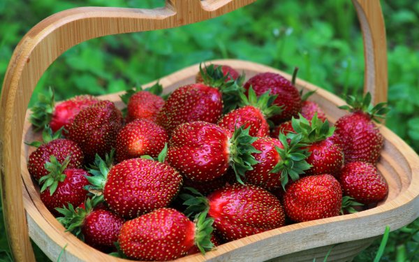 Лето малина