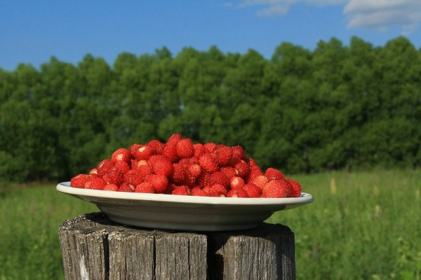 Ромашки и ягоды