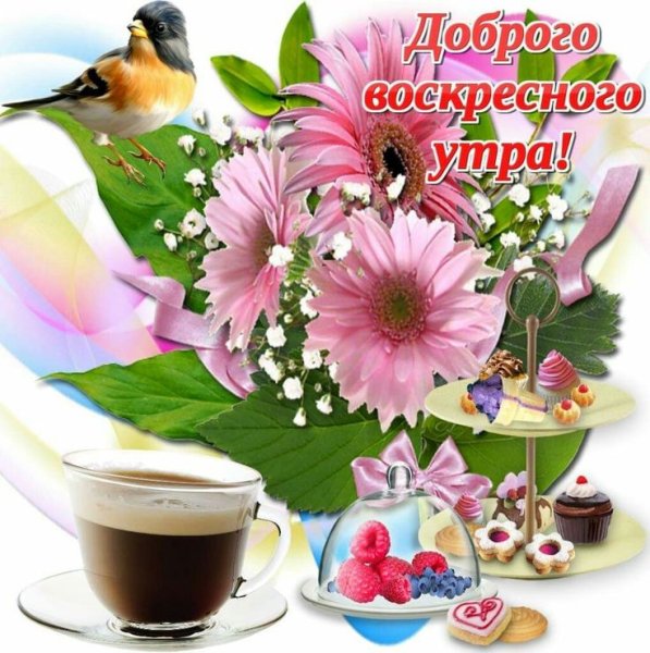 С добрым воскресным утречком