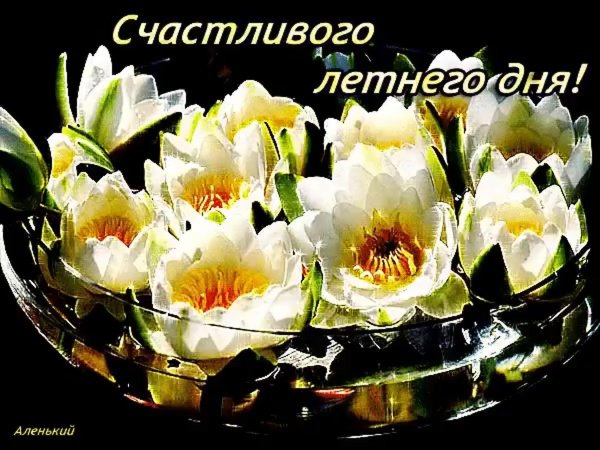 Чашечка кофе с незабудками