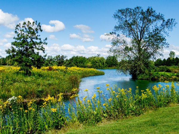 Лето лес река озеро