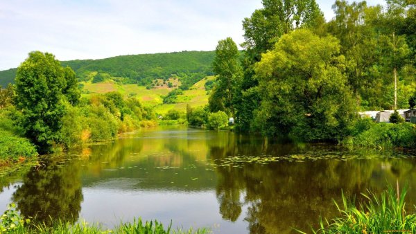 Красивые речные пейзажи