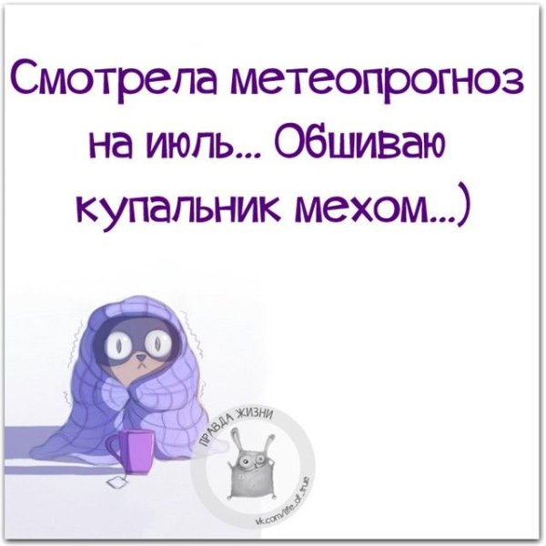 Смешные фразы про Холодное лето