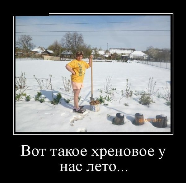 Юмор о холодном лете