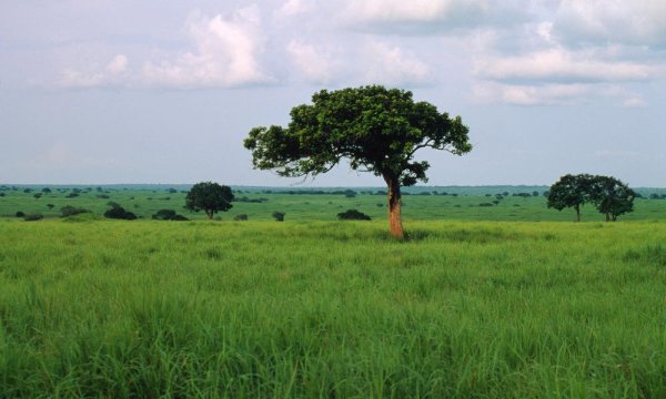 Национальный парк Гарамба в Африке