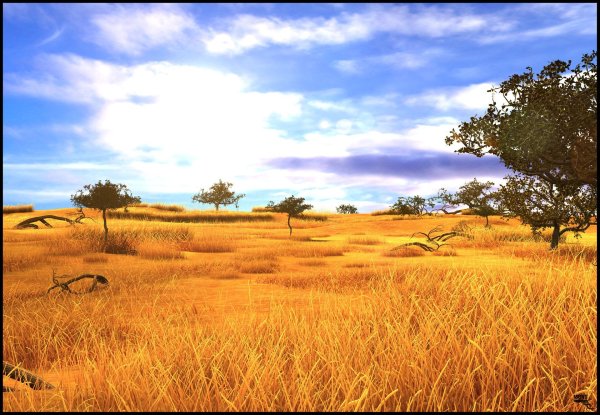 "Африканская Саванна" - диорама