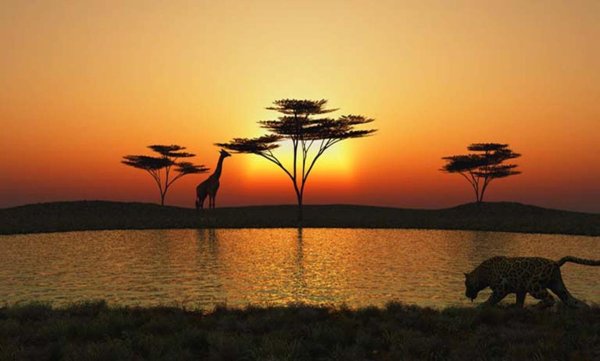 МЕГАZOOПАНОРАМА. Саванна