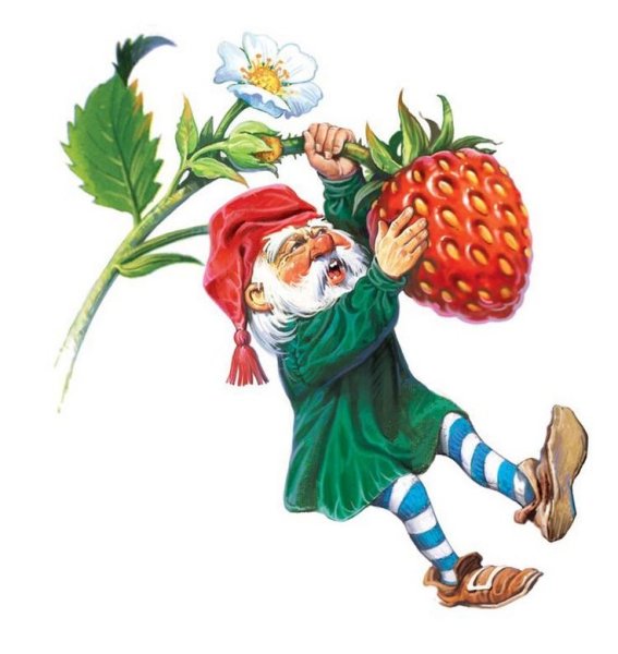 Нечитайло иллюстратор