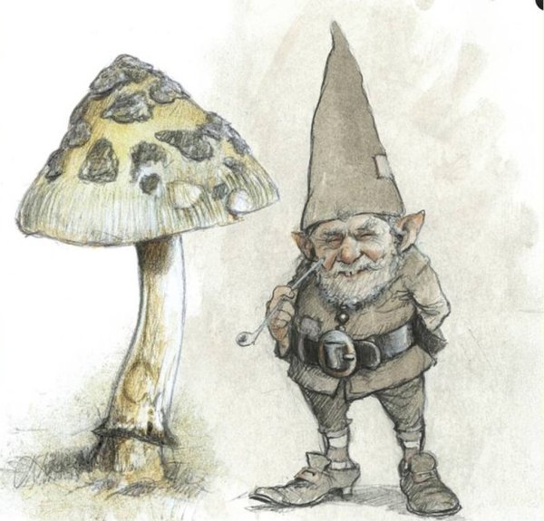 Стихи про гномов