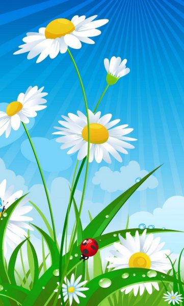 Лето насекомые