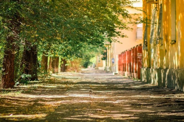 Аллеи в Англии