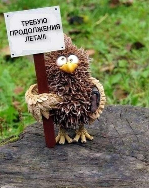 Стих про лето с юмором