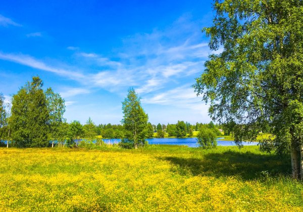 Родные просторы Пушгоры панорама