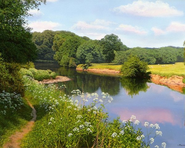 Цветущий луг Йеллоустоун