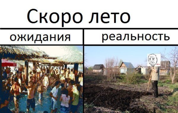 Приколы про лето