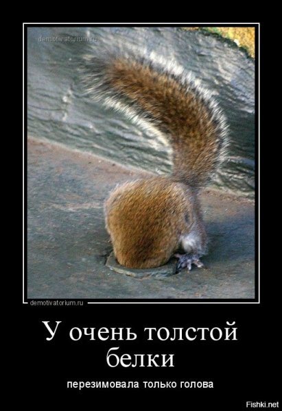 Скоро лето юмор