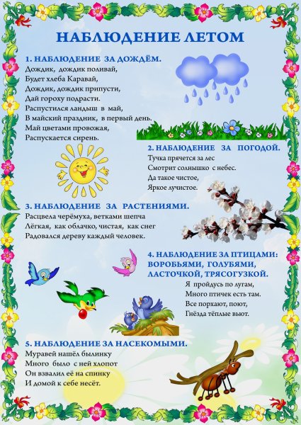 Приметы про лето