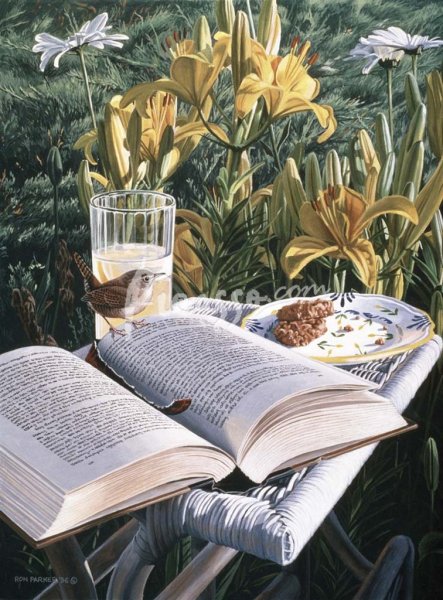 Лето книги чтение