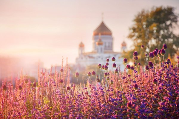Храмы на фоне летних цветов
