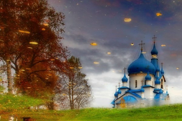 Берёзы России на фоне храма на Нерли