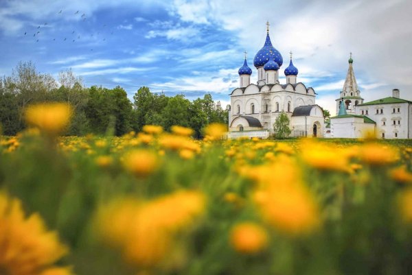 Село Куйбышево Ростовская область