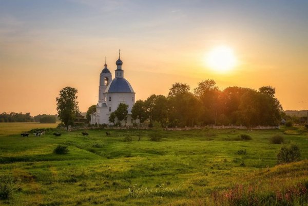Храм Покрова на Нерли