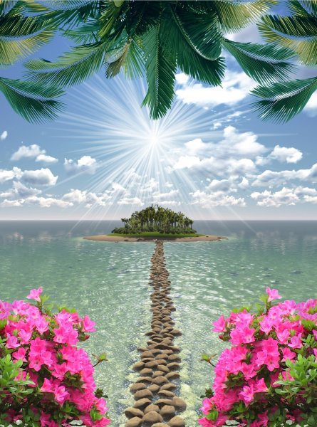 Живая природа летом