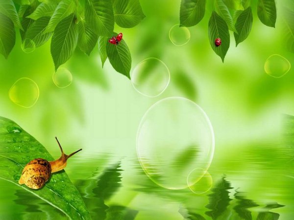 Наступило лето открытки