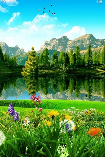 Яркие цветы в природе