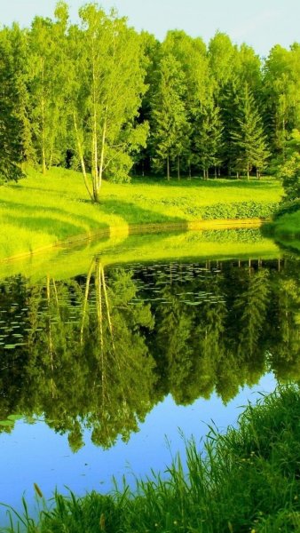 Водопад зелень
