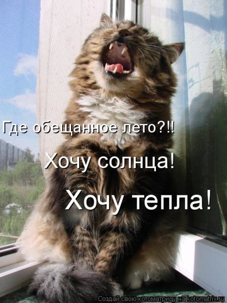 Хочется солнышка и тепла