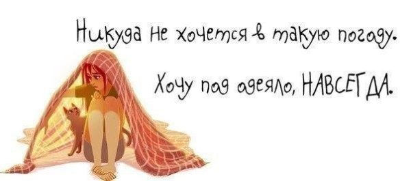 Цитаты про одеяло