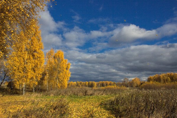 Осень бабье лето